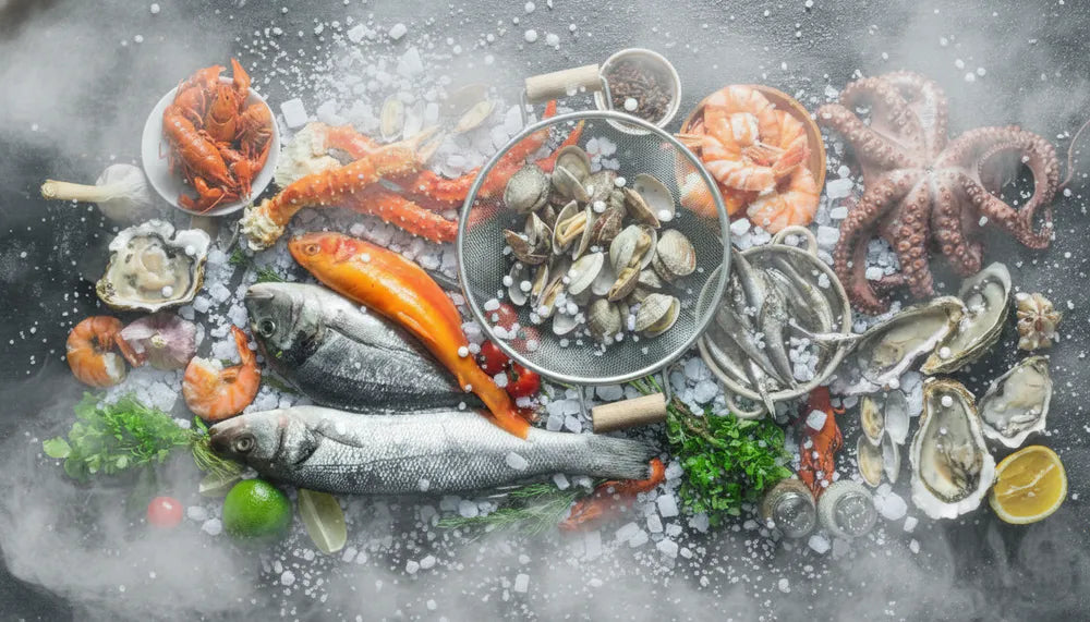 alimentacion hielo seco